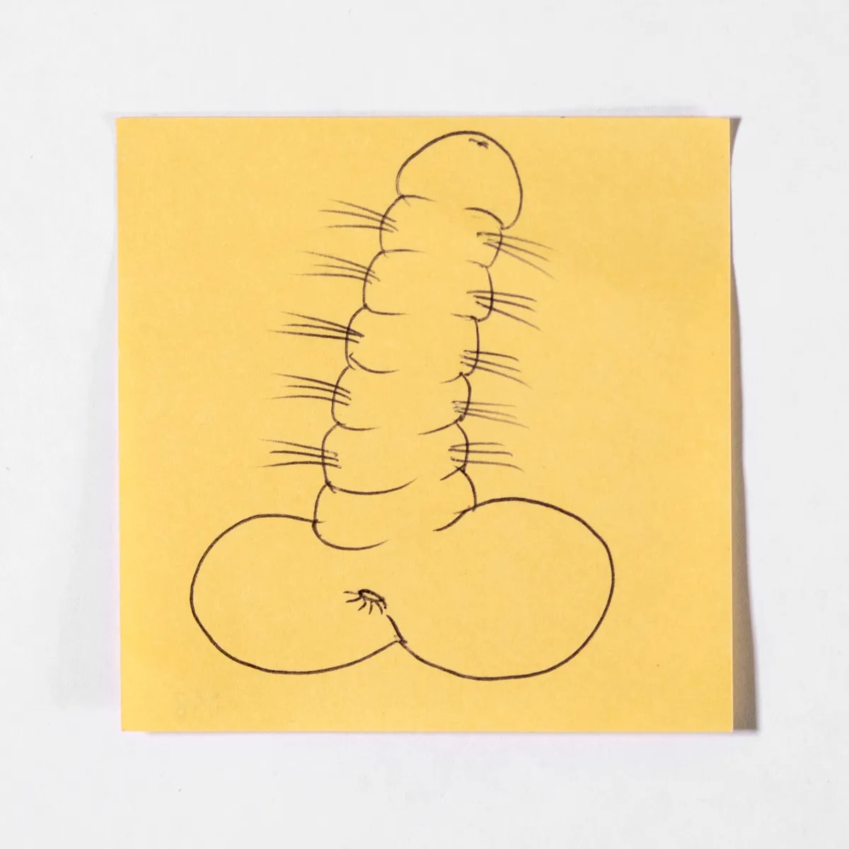 Caterpillar, No. 018 of 512: a hand-drawn cazzo on a sticky note