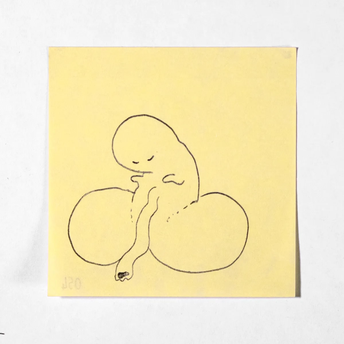 Fetus, No. 054 of 512: a hand-drawn cazzo on a sticky note