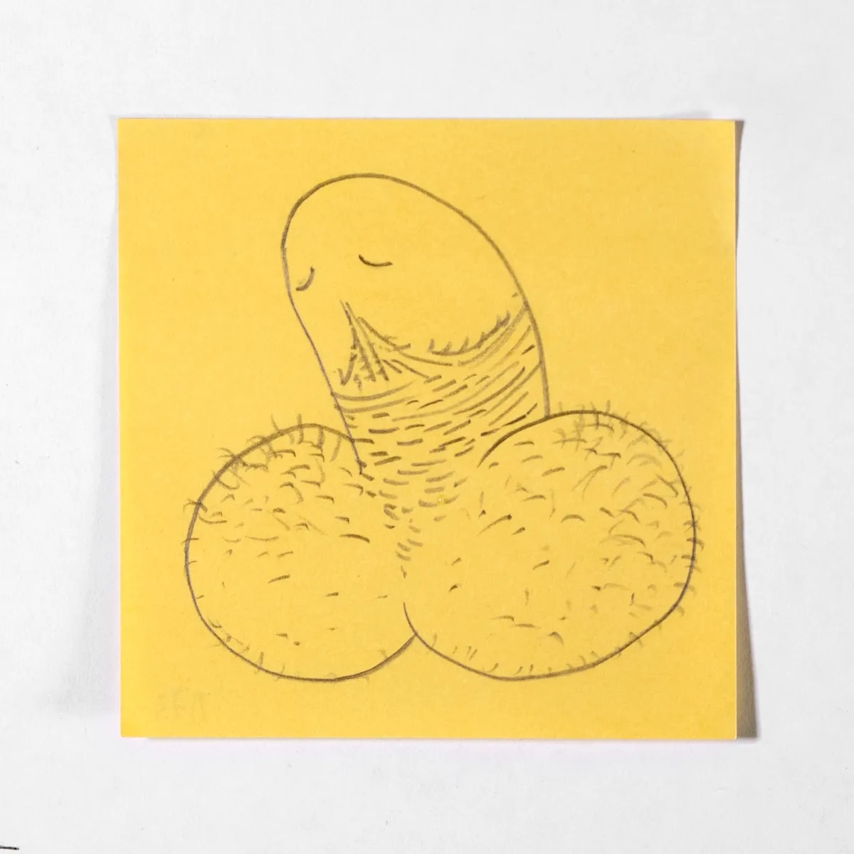 Pragmatic, No. 073 of 512: a hand-drawn cazzo on a sticky note