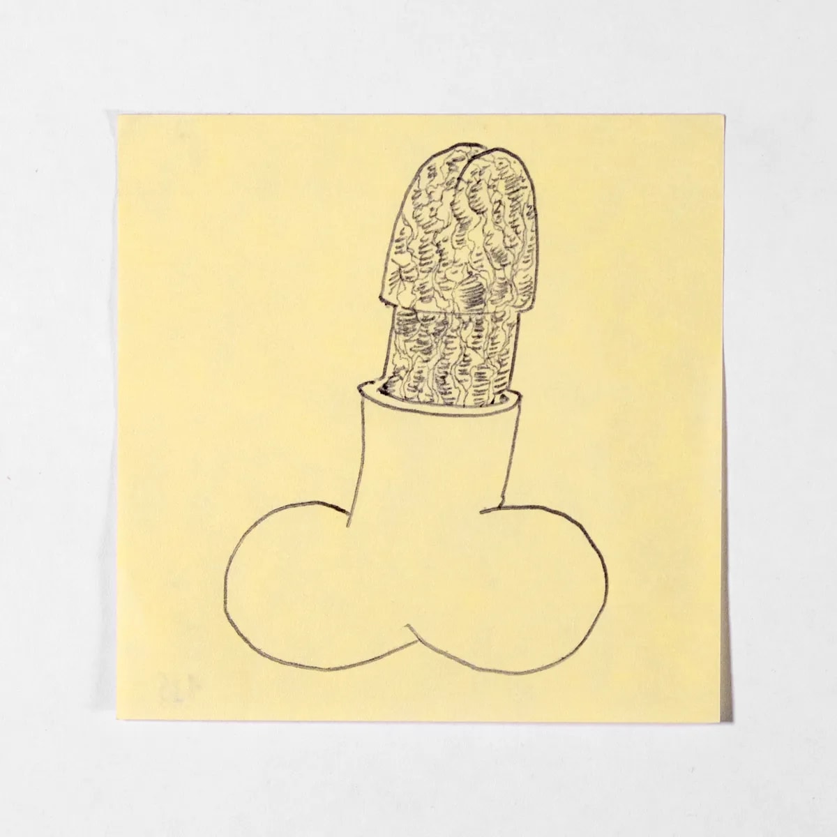 Scalped1, No. 135 of 512: a hand-drawn cazzo on a sticky note