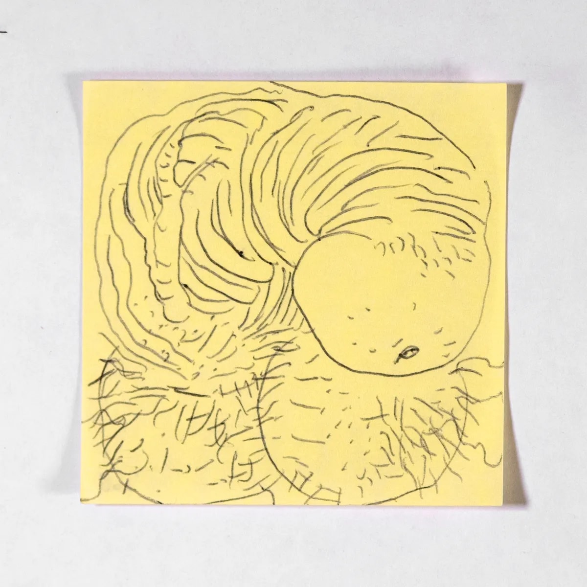 Rustic, No. 268 of 512: a hand-drawn cazzo on a sticky note