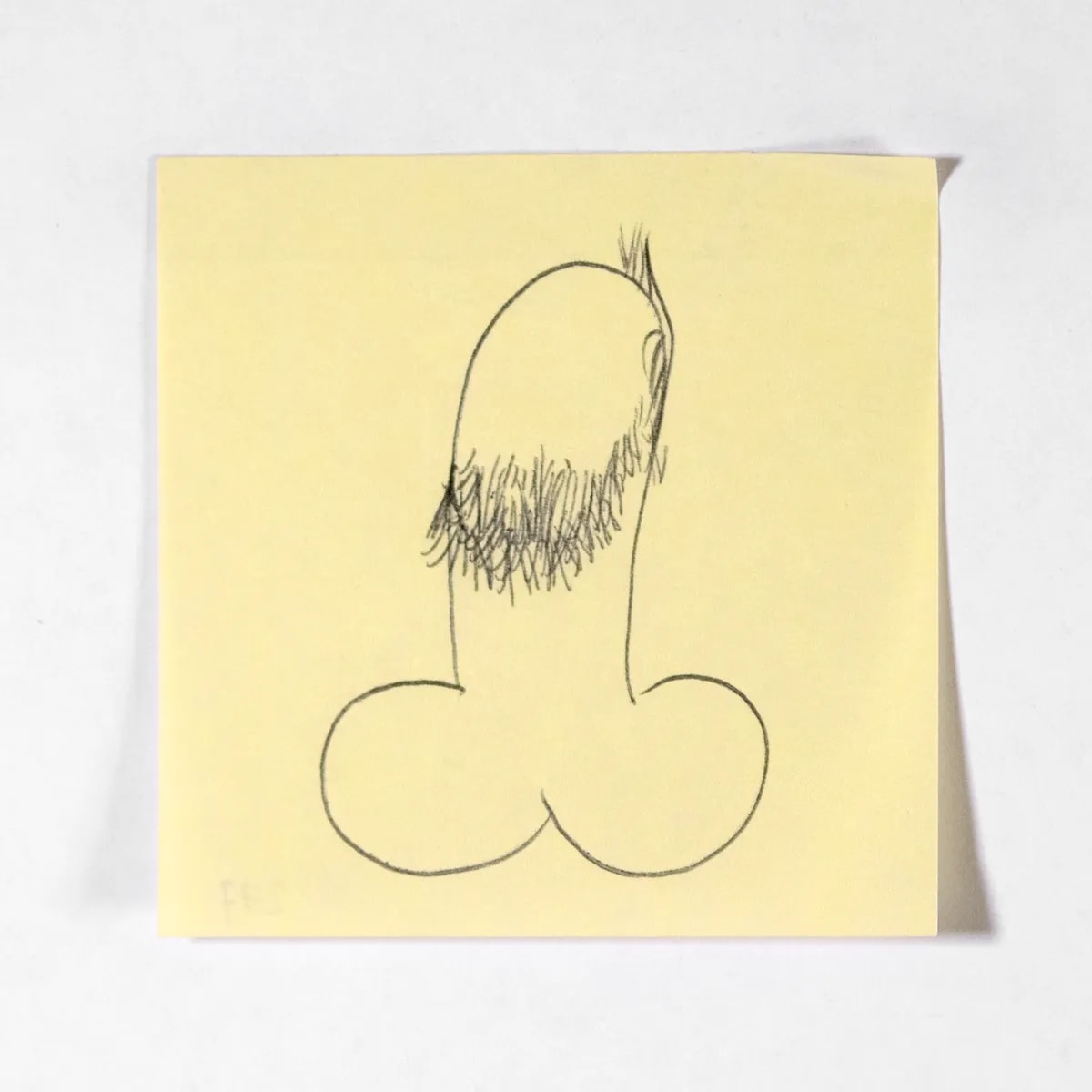 Portrait10, No. 277 of 512: a hand-drawn cazzo on a sticky note
