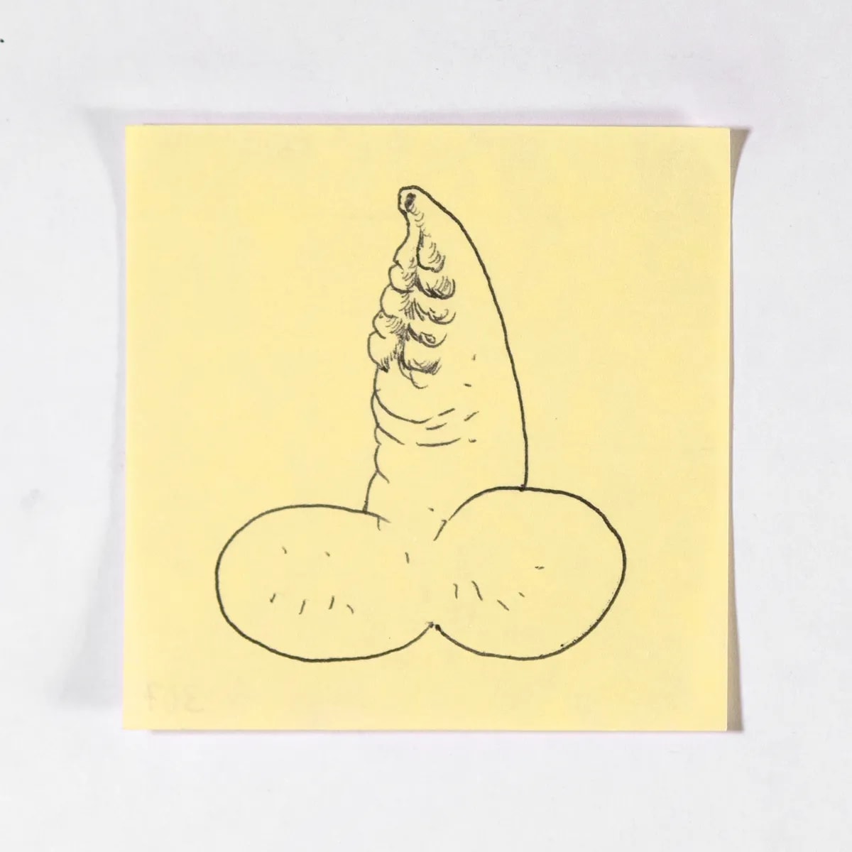 Titanian, No. 307 of 512: a hand-drawn cazzo on a sticky note