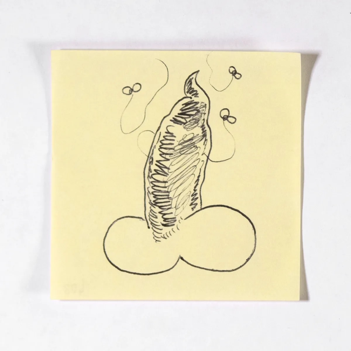 Poop, No. 408 of 512: a hand-drawn cazzo on a sticky note