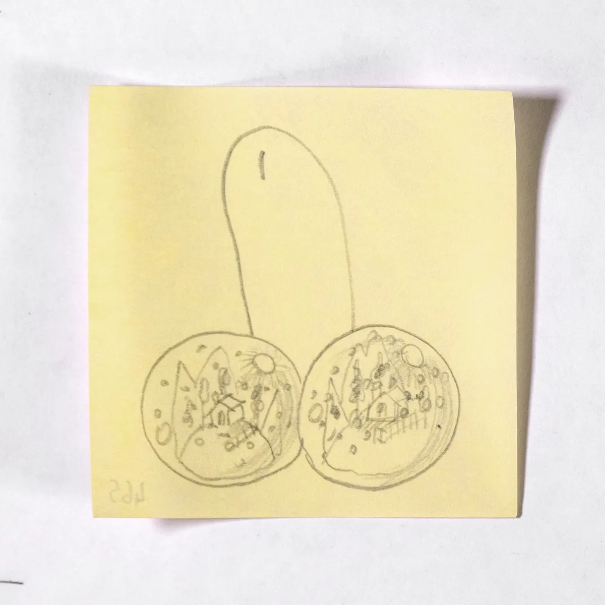 Collectible, No. 465 of 512: a hand-drawn cazzo on a sticky note