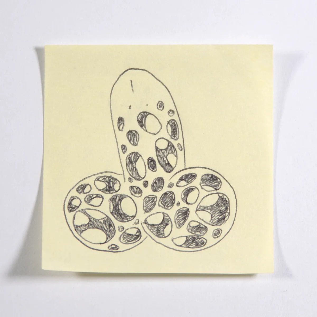Conceptual, No. 466 of 512: a hand-drawn cazzo on a sticky note