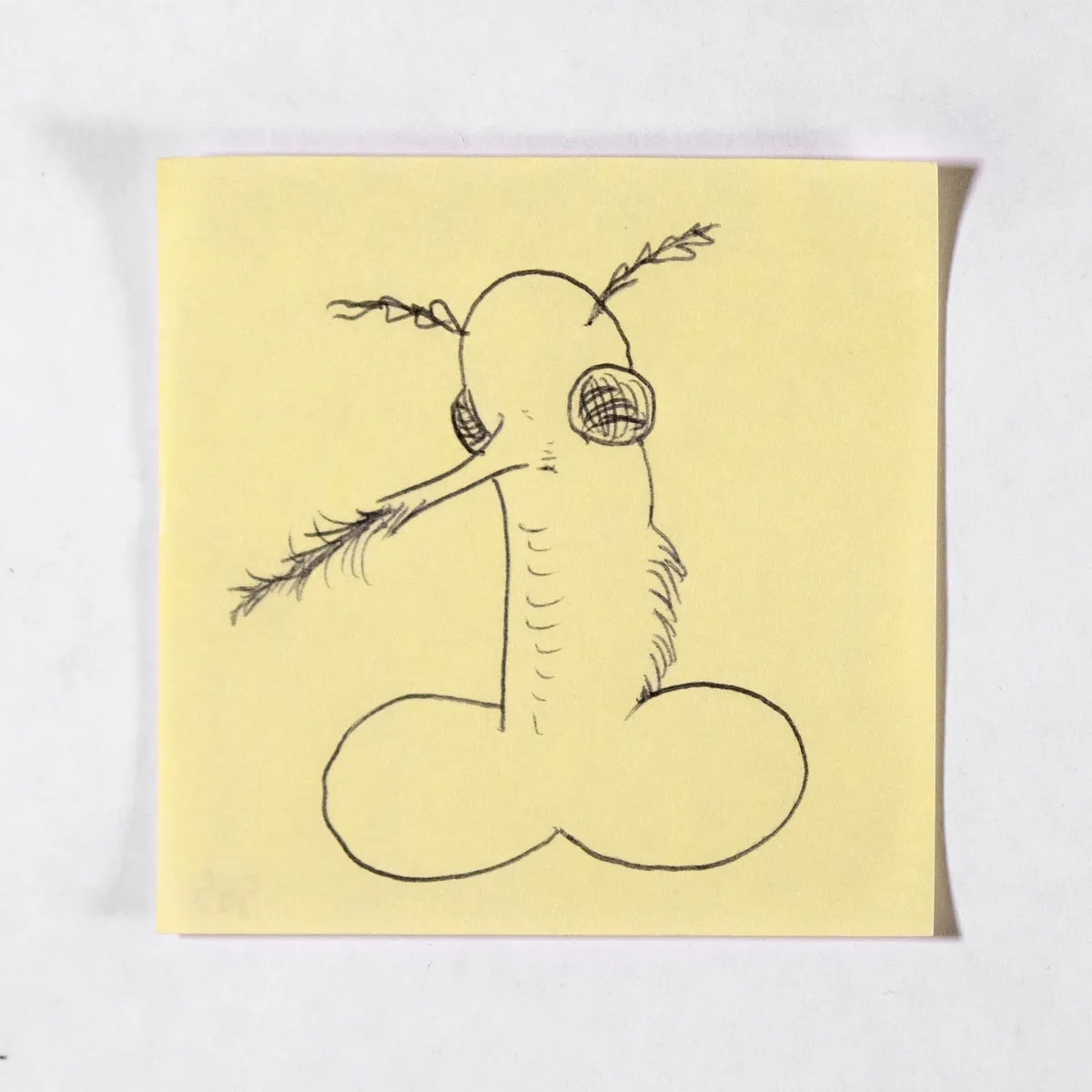 Fly, No. 505 of 512: a hand-drawn cazzo on a sticky note