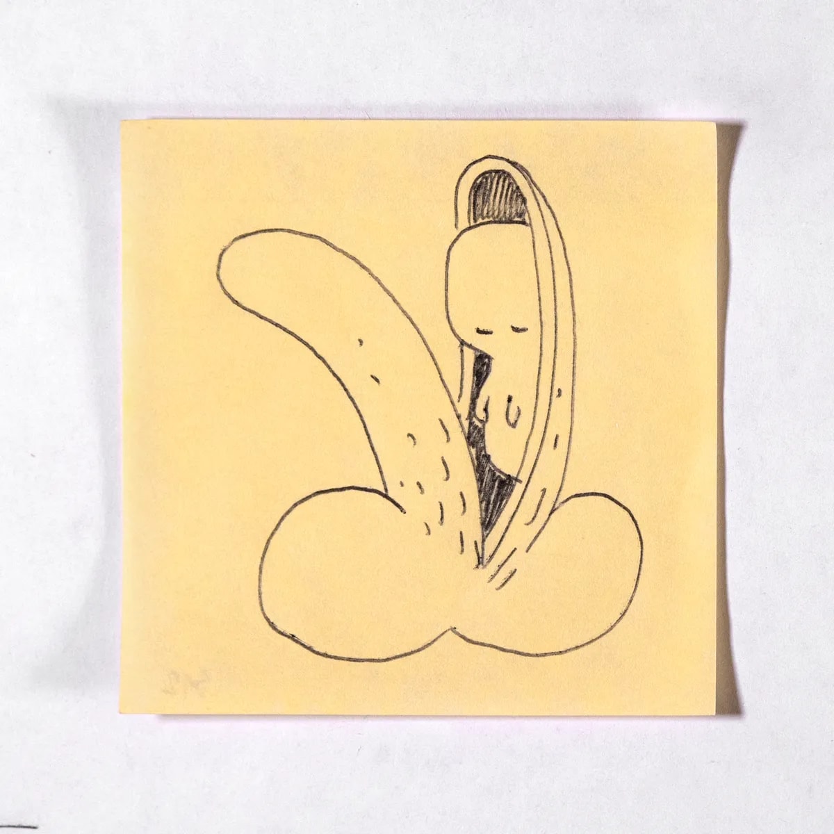 Pod, No. 512 of 512: a hand-drawn cazzo on a sticky note