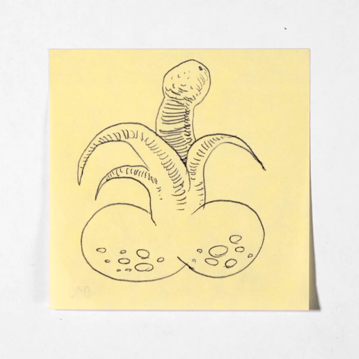 Lunar, No. 010 of 512: a hand-drawn cazzo on a sticky note