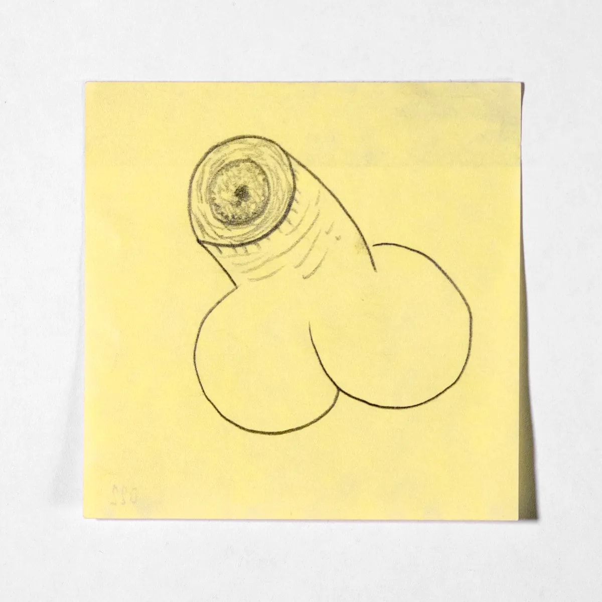 Dissected1, No. 022 of 512: a hand-drawn cazzo on a sticky note
