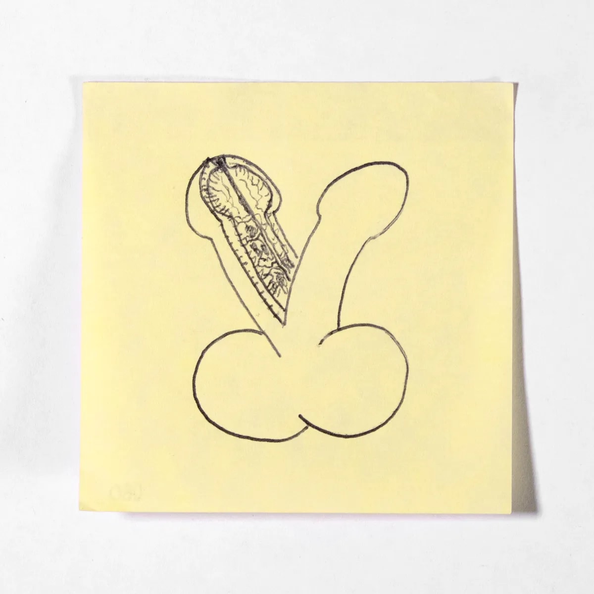 Dissected2, No. 080 of 512: a hand-drawn cazzo on a sticky note