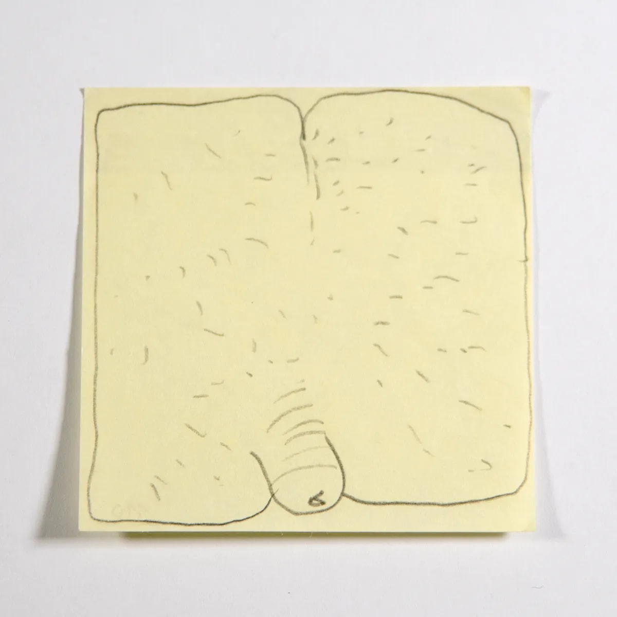 Macroscrotic2, No. 110 of 512: a hand-drawn cazzo on a sticky note
