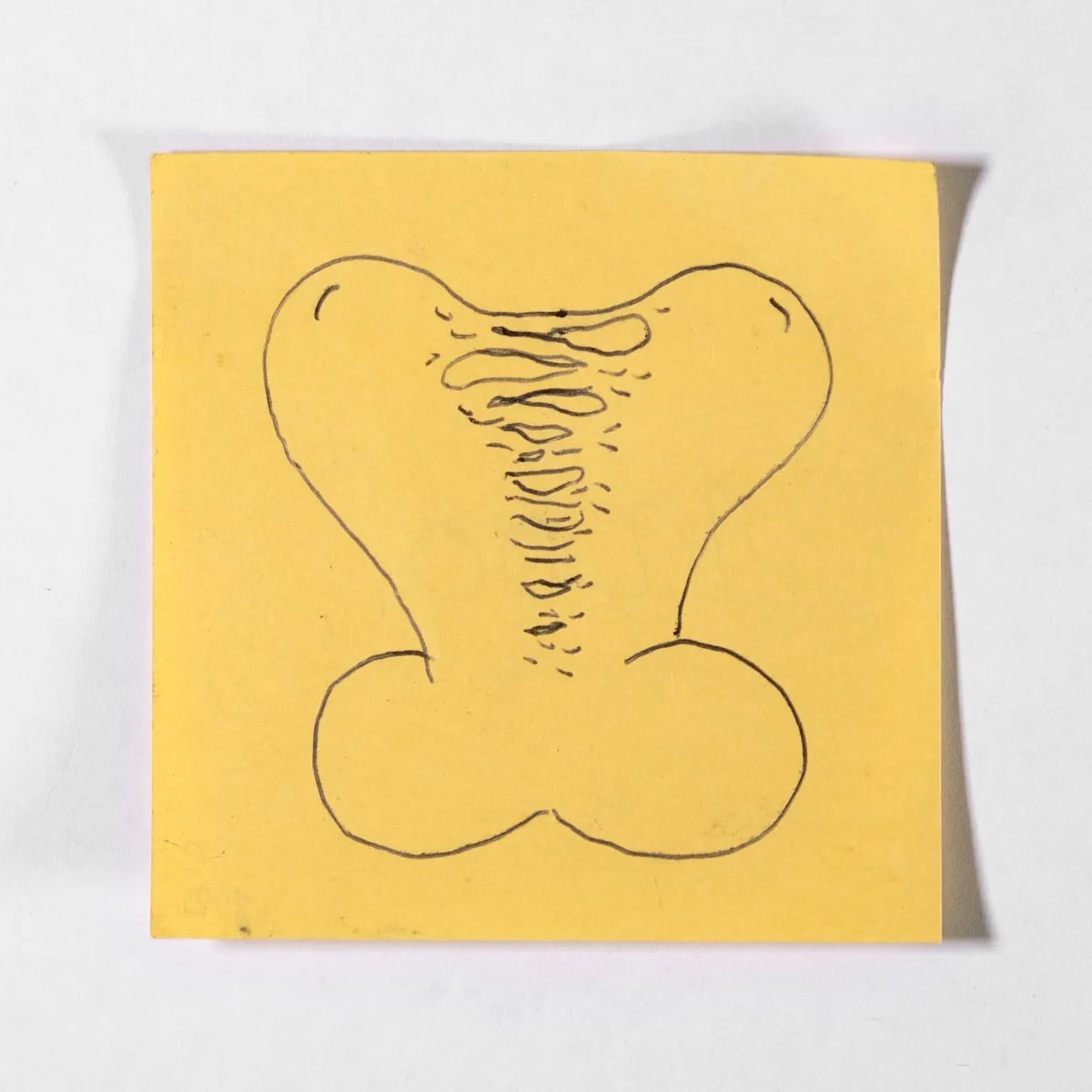 Replicant, No. 112 of 512: a hand-drawn cazzo on a sticky note